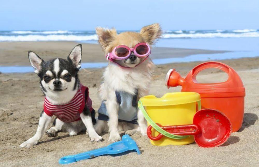 Enjoy Apart Centro Y Playa Victoria Malaga Luaran gambar